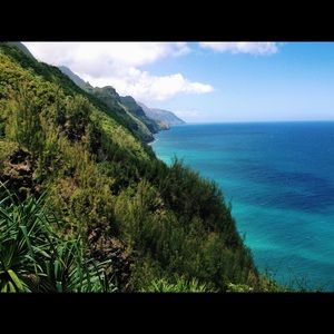 Meet your Posher, Peyton